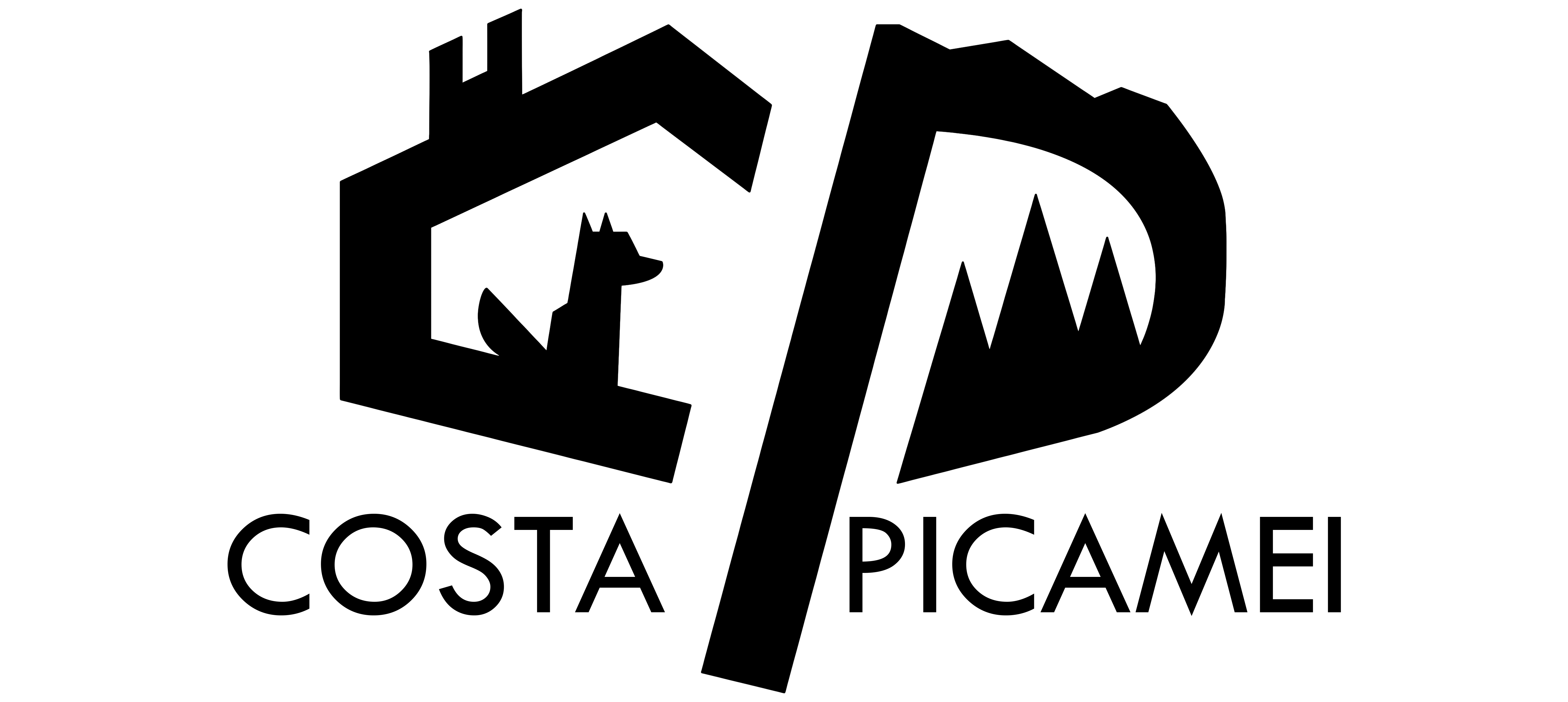 logo Costa Picamei